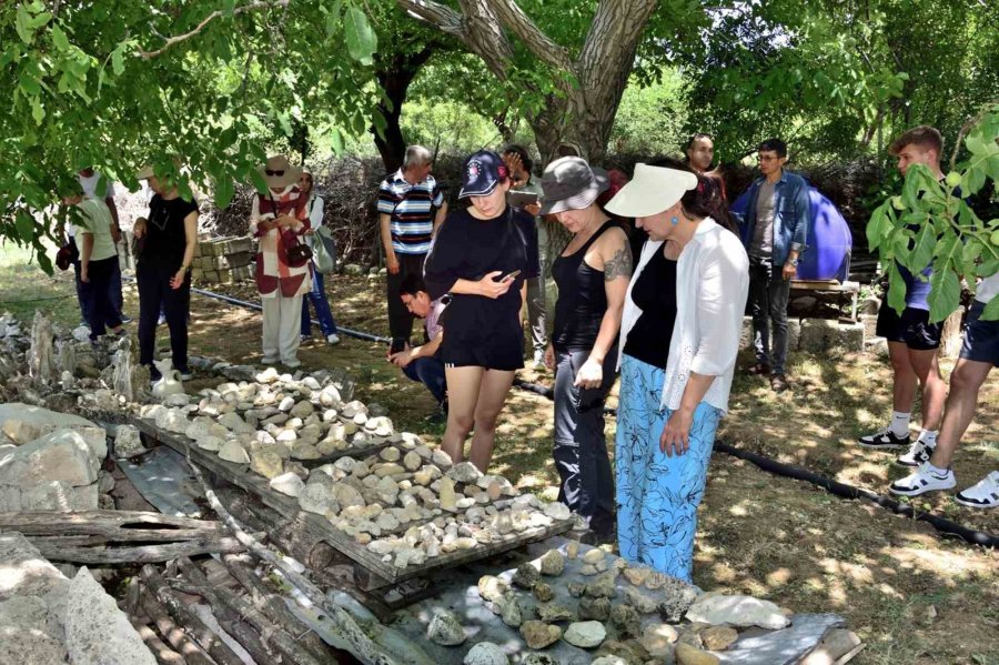 Mersin Mut’ta Fosil Araştırması