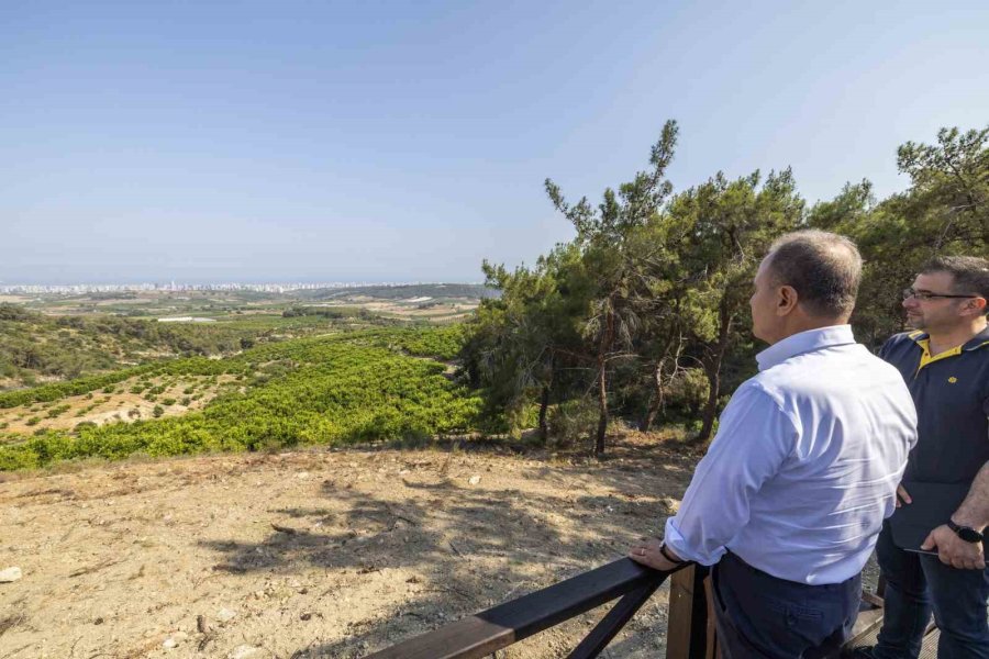 Seçer, Emirler Orman Parkı Piknik Alanında İncelemelerde Bulundu