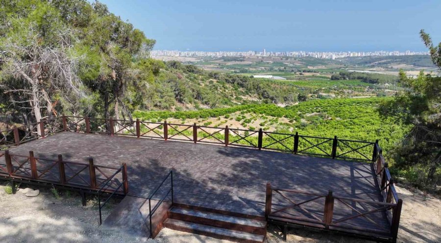 Seçer, Emirler Orman Parkı Piknik Alanında İncelemelerde Bulundu