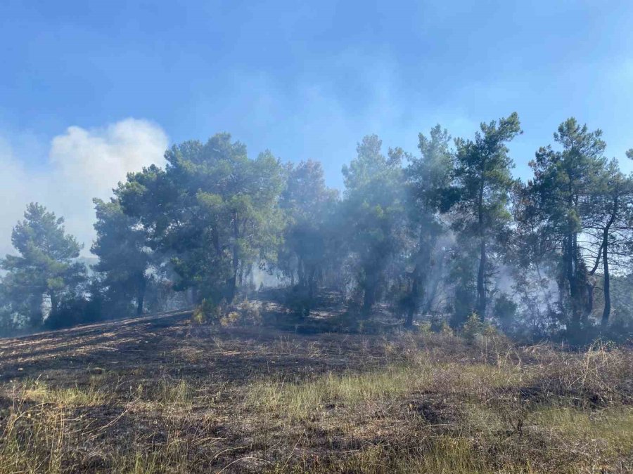 Antalya’da Ormanlık Alanda Çıkan Yangın 2 Saatte Kontrol Altına Alındı