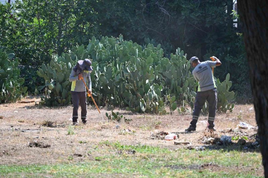 Kepez’de Tek Sarnıç Parkı’nda Temizlik Seferberliği