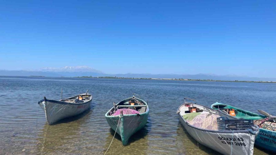 Beyşehir Gölünde Ağlara Vuran 17 Kiloluk Sazan Balığı Şaşırttı