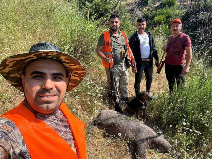 Gündoğmuş’ta Domuz Sürek Avı Düzenlendi