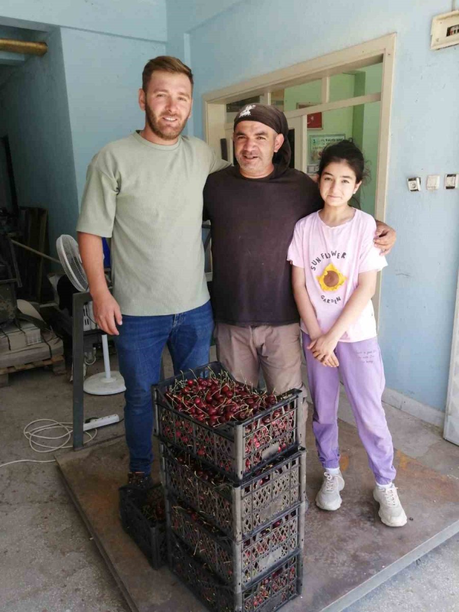 Akşehir’de İlk Kiraz Hasat Edildi