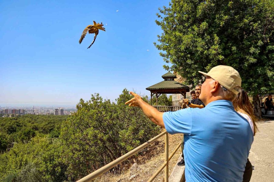 Yetişkinliğe Erişen Kerkenez Yavruları Doğal Ortamlarına Bırakıldı