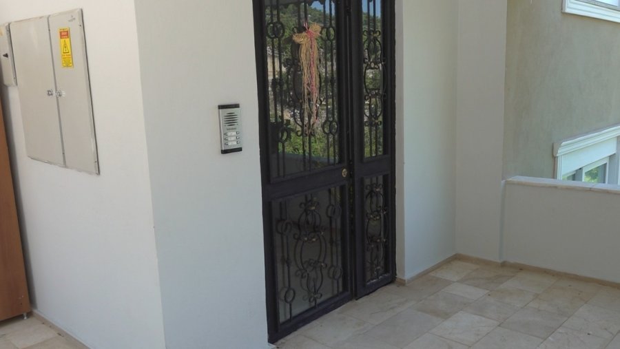 Alanya’da Apartmana Giren Yılana Kafa Tutan Sokak Kedisi Evin Bekçisi Oldu