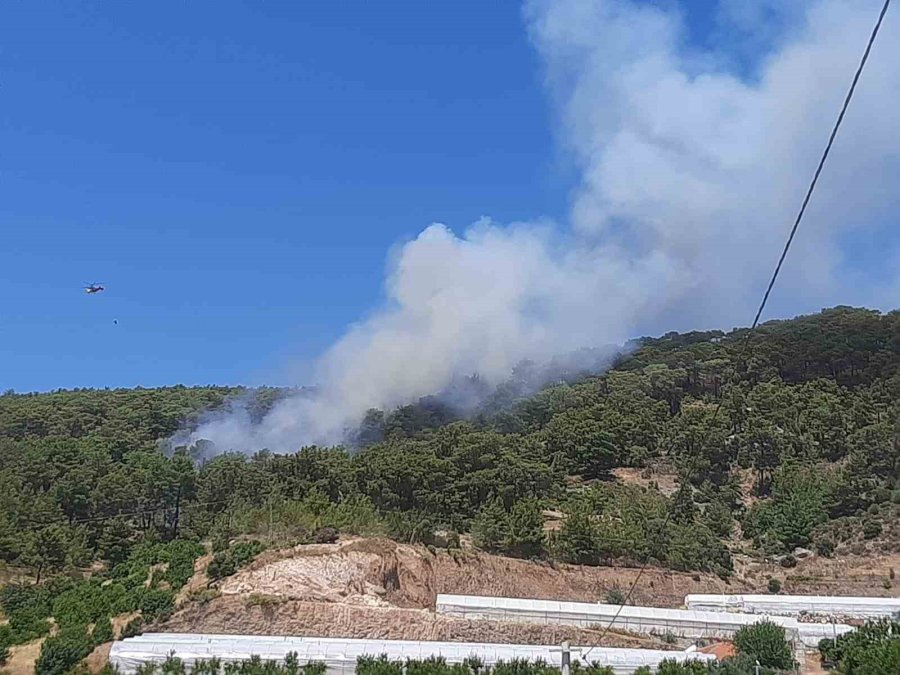 Antalya’da Orman Yangını