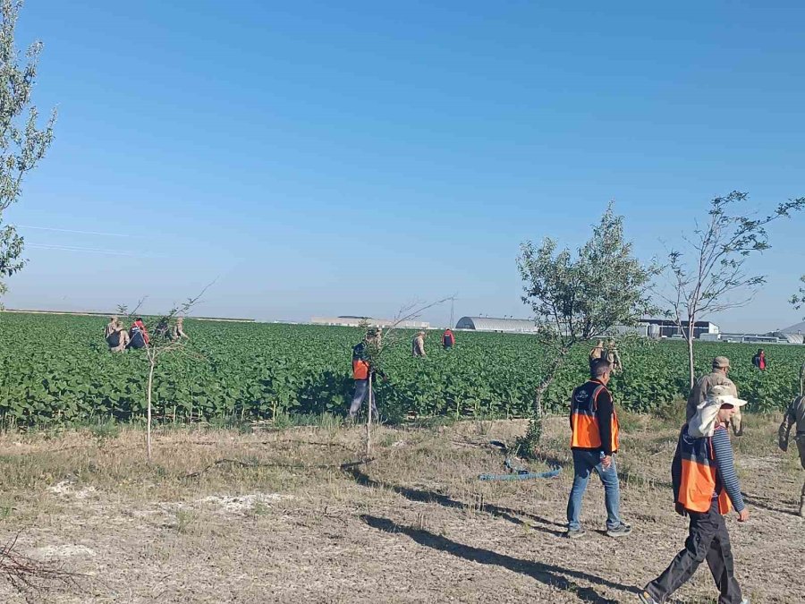Karaman’da Kaybolan 2.5 Yaşındaki Kız Çocuğunu Jandarma Buldu