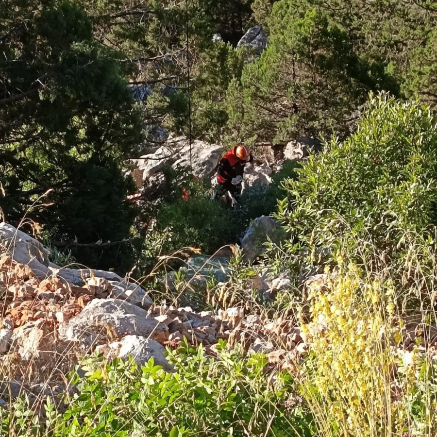 Uçuruma Yuvarlanan Kamyonetin Sürücüsü Hayatını Kaybetti
