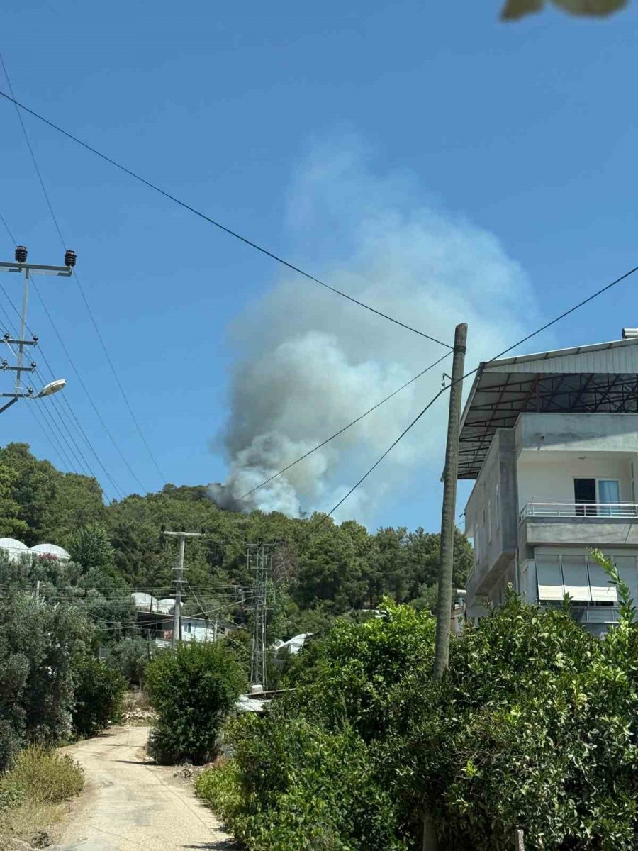 Antalya’da Orman Yangını