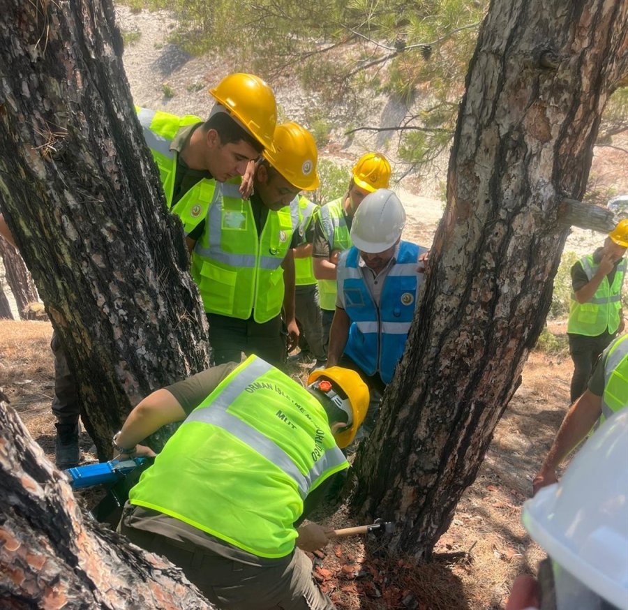 Mersin’de ’orkod’ Eğitimleri Devam Ediyor