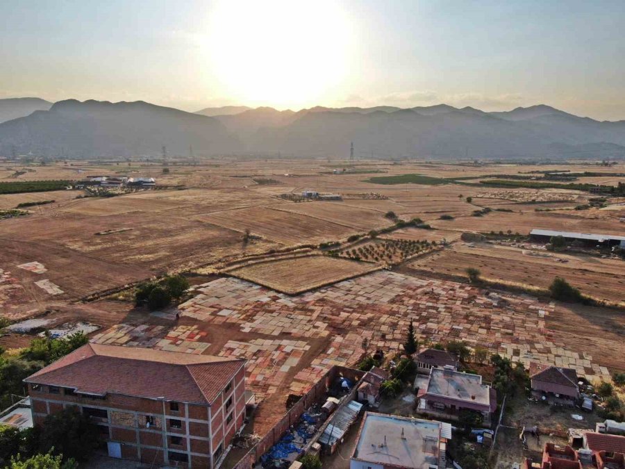 Tarlalarda Milyonluk Halı Nöbeti Başladı