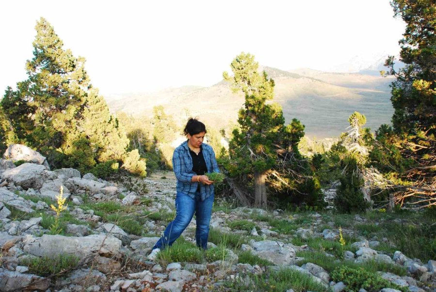 Evinin Bir Odasını Labaratuvar Haline Getirdi, Araştırmalarına Ara Vermedi