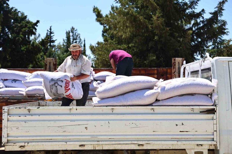 Büyükşehir’den Yem Desteğiyle Süt Üretimine Güçlü Katkı