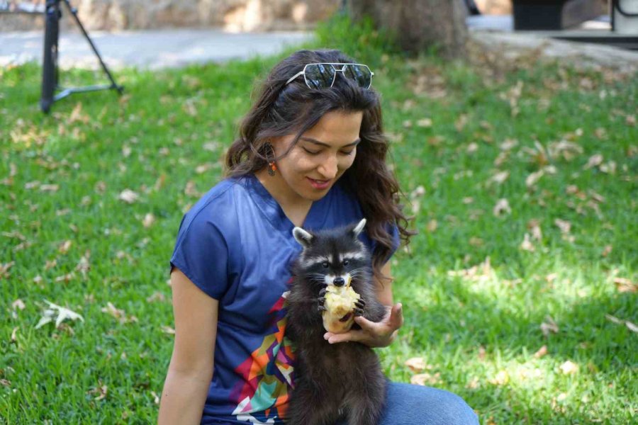 Antalya’da Sıcaktan Etkilenen Hayvanlara Buzlu Meyve Kokteyli