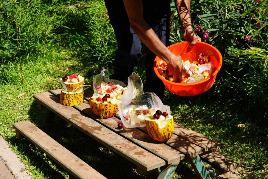 Antalya’da Sıcaktan Etkilenen Hayvanlara Buzlu Meyve Kokteyli