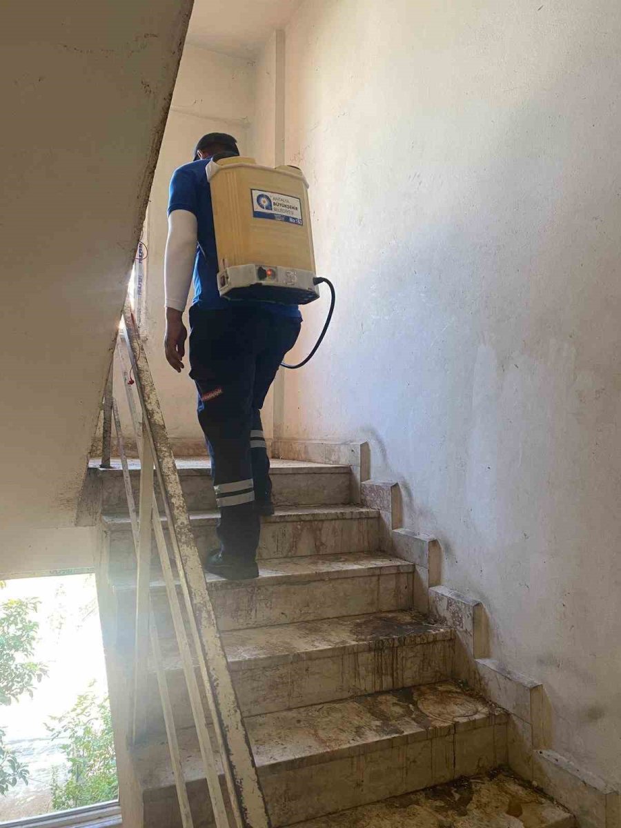 Kepez’de Çöp Apartman Operasyonunda 20 Kamyon Çöp Tahliye Edildi