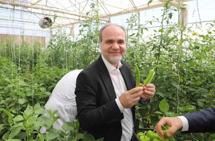 Üreten Üniversite Nöhü, Tarım Faaliyetlerine Devam Ediyor