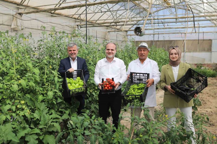 Üreten Üniversite Nöhü, Tarım Faaliyetlerine Devam Ediyor