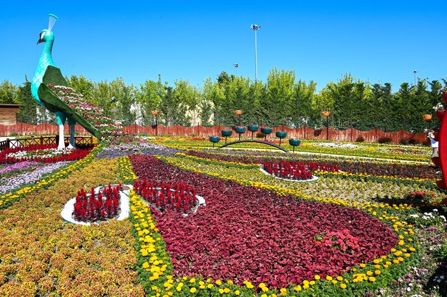 375 Bin Çiçek Görsel Şölen Sunuyor