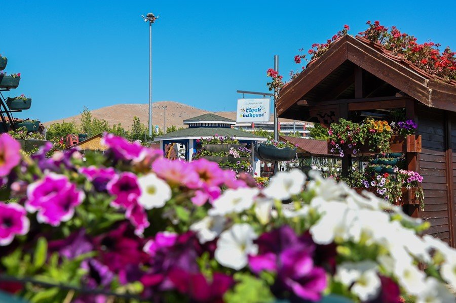 375 Bin Çiçek Görsel Şölen Sunuyor