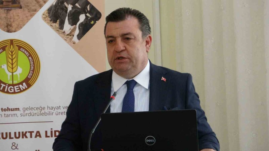 Türkiye’de Hububatta Toprağa Düşen Her Dört Tohumdan Birini Tigem Üretiyor