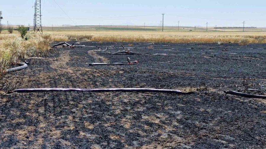 Yüksek Gerilim Hattına Temas Eden Balya Asansörü 40 Dönüm Tarlayı Kül Etti