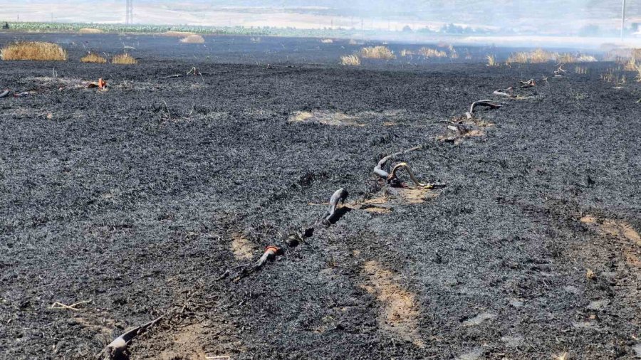 Yüksek Gerilim Hattına Temas Eden Balya Asansörü 40 Dönüm Tarlayı Kül Etti