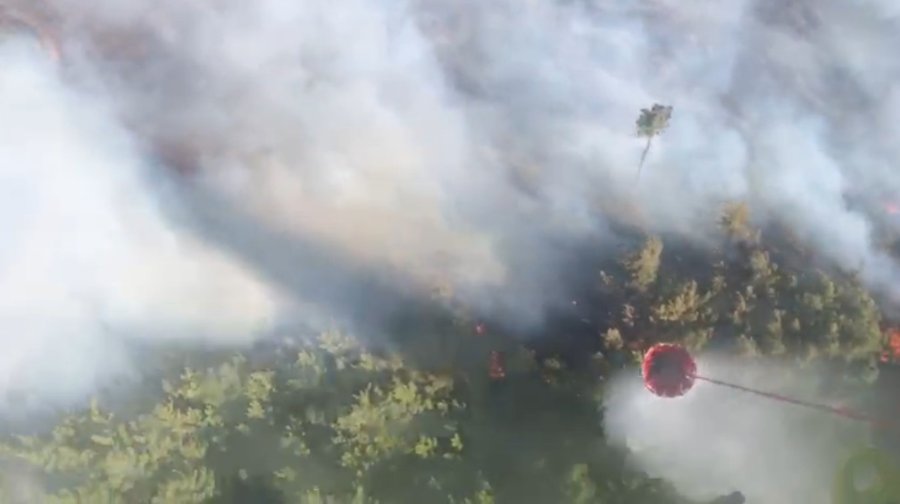 Antalya’da 2 İlçede Orman Yangını