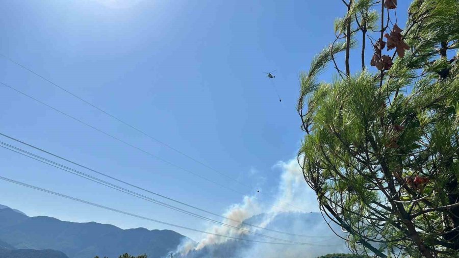 Antalya’da 2 İlçede Orman Yangını