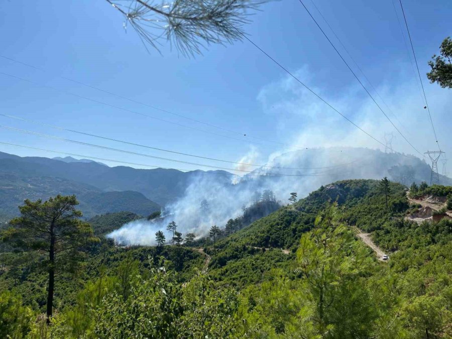 Antalya’da 2 İlçede Orman Yangını