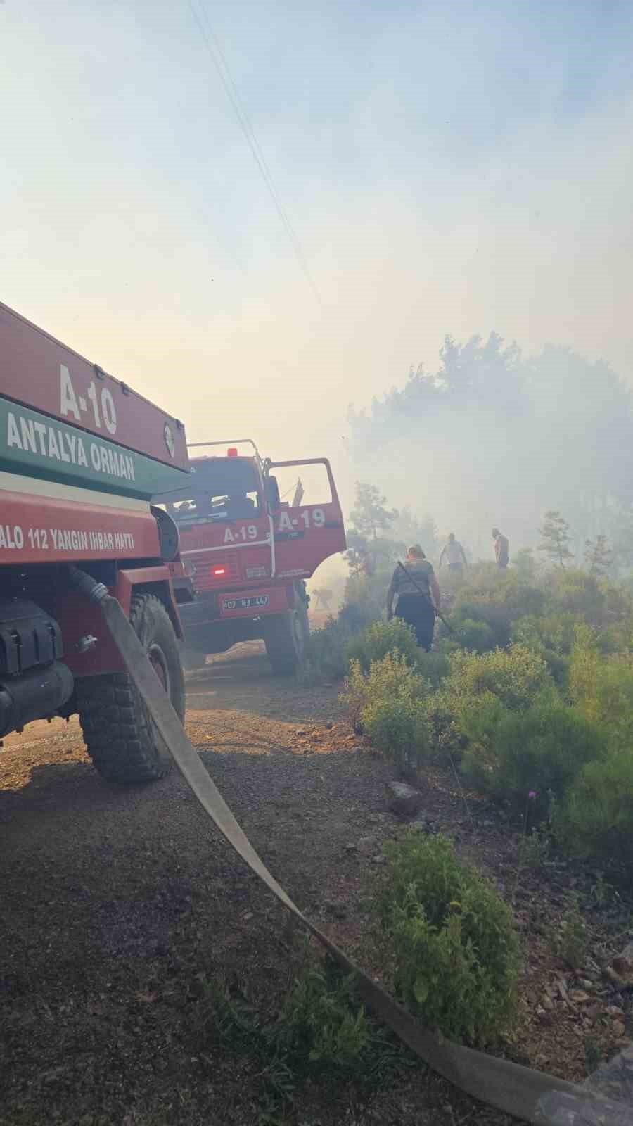 Antalya’da 2 İlçede Orman Yangını
