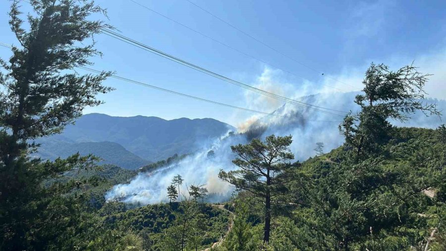 Antalya’da 2 İlçede Orman Yangını