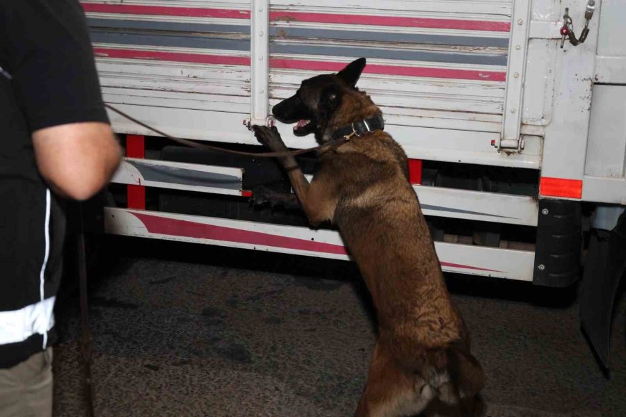 Dronla Takip Edilen Kamyonette 332 Bin Adet Sentetik Ecza Ele Geçirildi