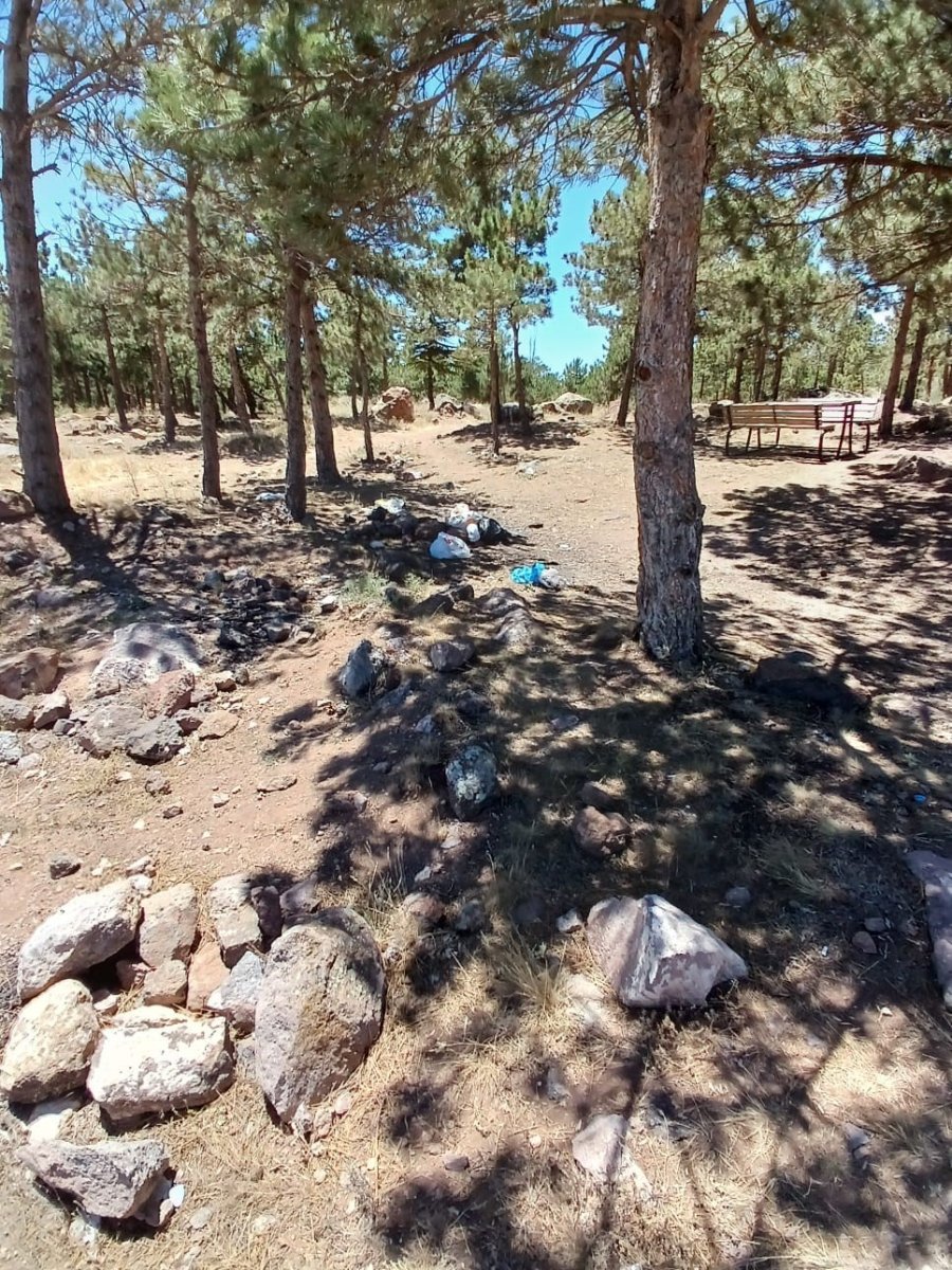 Niğde’de Öğretmenlerden Doğa İçin Anlamlı Etkinlik: Seminer Kapsamında Çöp Topladılar