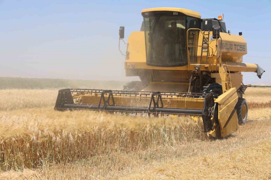 Kuraklık Etkisindeki Tarım Başkentinde Verim Düşük