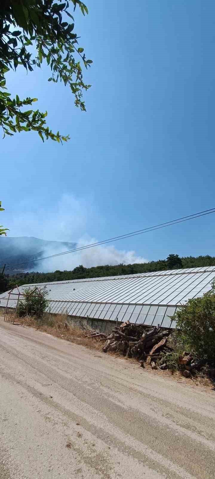 Finike’de Orman Yangını