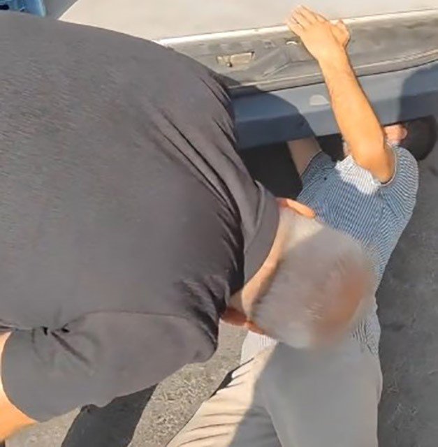 Minibüste Yavru Kedi Kurtarma Seferberliği