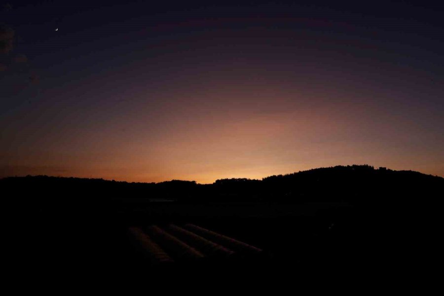 İzmir’deki Orman Yangını Haberlerini İzlerken Alevleri Kapısında Buldu