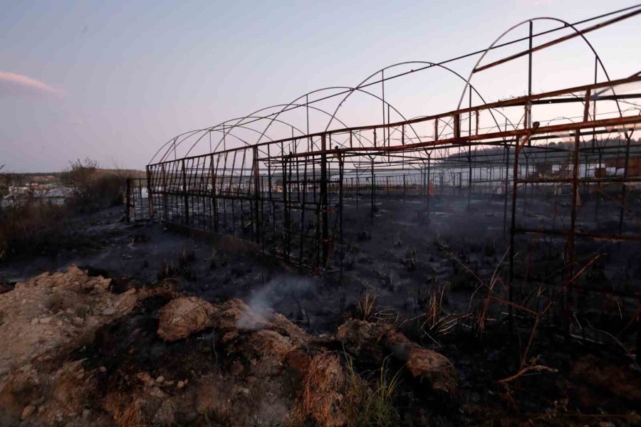 İzmir’deki Orman Yangını Haberlerini İzlerken Alevleri Kapısında Buldu