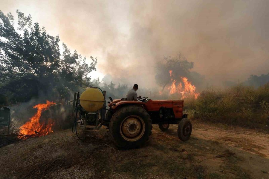 İzmir’deki Orman Yangını Haberlerini İzlerken Alevleri Kapısında Buldu