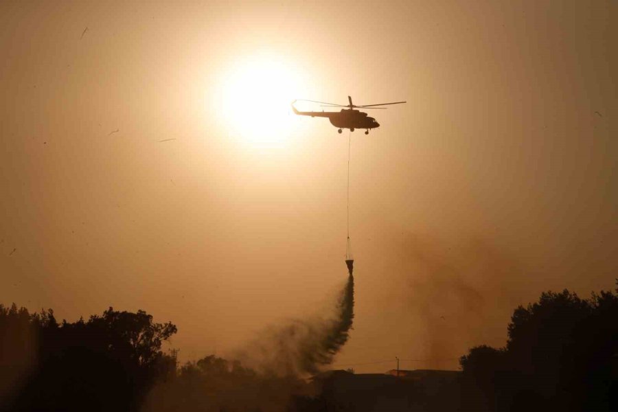 İzmir’deki Orman Yangını Haberlerini İzlerken Alevleri Kapısında Buldu