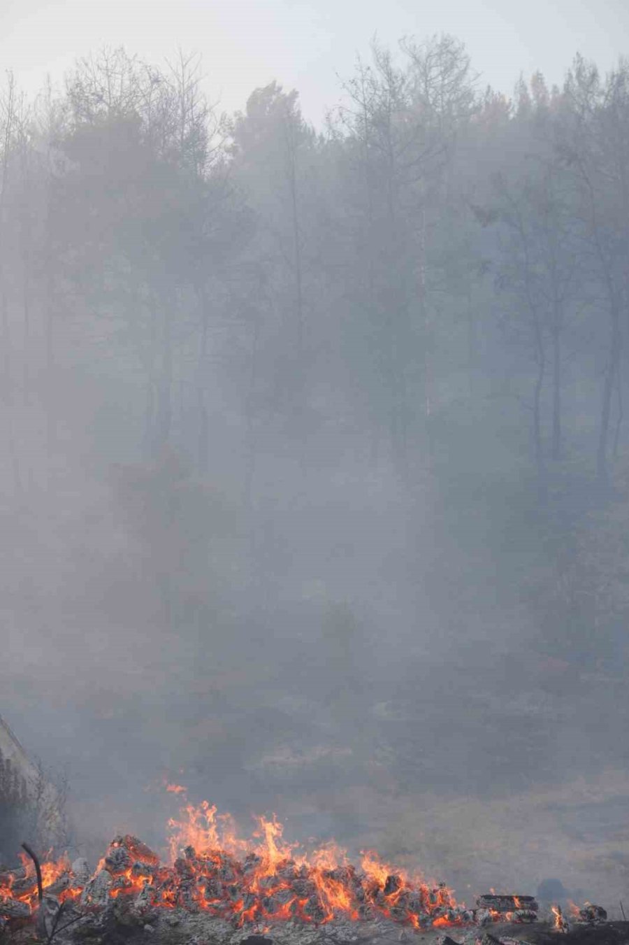 İzmir’deki Orman Yangını Haberlerini İzlerken Alevleri Kapısında Buldu