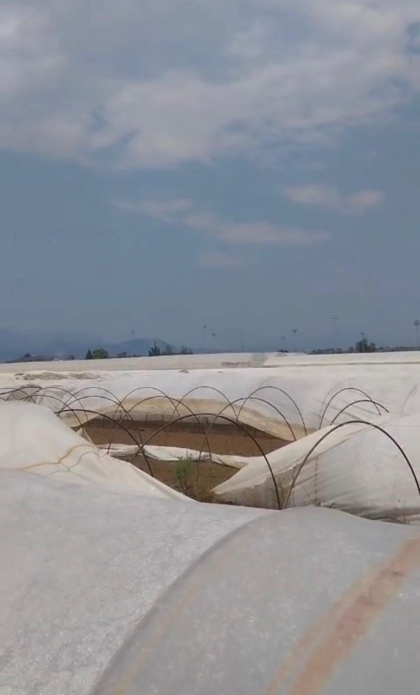 Antalya’da Hortum Seralara Zarar Verdi