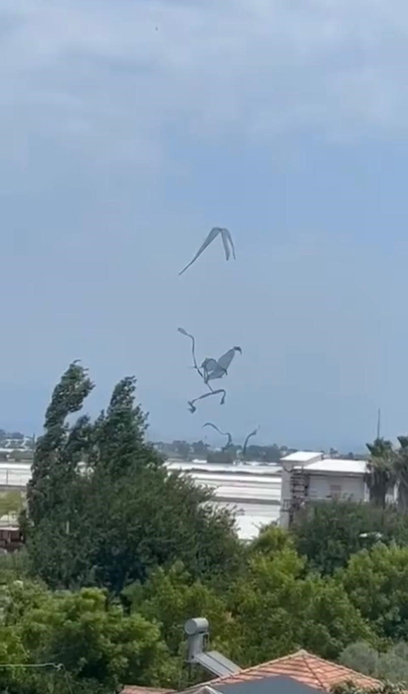 Antalya’da Hortum Seralara Zarar Verdi