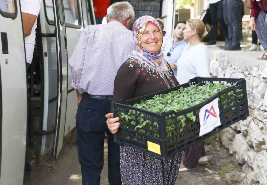Mersin’de Tarım Destekleri Üreticiyi Sevindiriyor