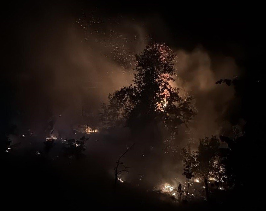 Mersin’de Üç Noktada Çıkan Yangın Kontrol Altına Alındı