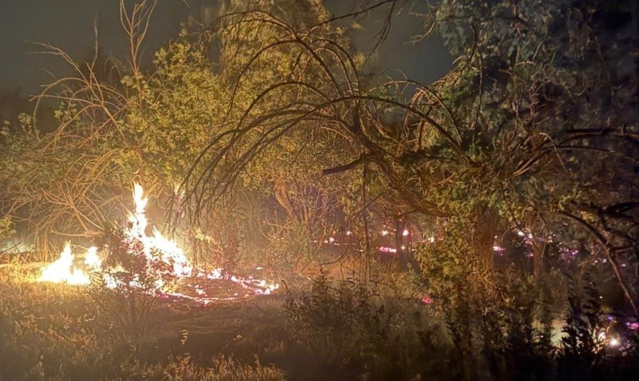 Mersin’de Üç Noktada Çıkan Yangın Kontrol Altına Alındı