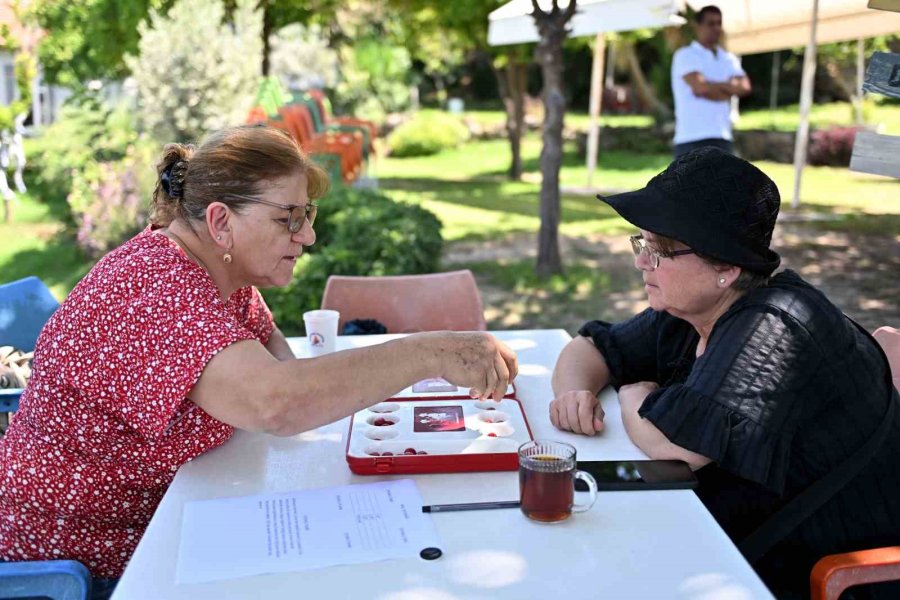Kıdemli Kent Sakinleri Mangalada Kapıştı