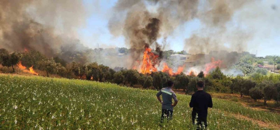 Antalya’da Ormanlık Ve Kırsal Alanda Çıkan Yangın Kontrol Altına Alındı
